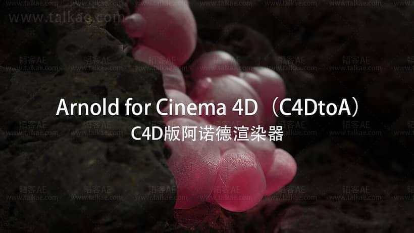 C4D插件-Arnold SolidAngle C4DtoA 4.3.0 Win R21-R26 阿诺德衬着器5458,