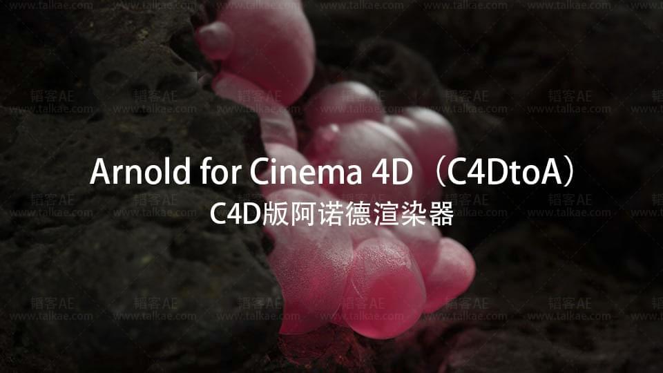 C4D阿诺德衬着器 C4DtoA 4.0.3 for Cinema 4D R21-R257498,c4d,阿诺,阿诺德,诺德,衬着