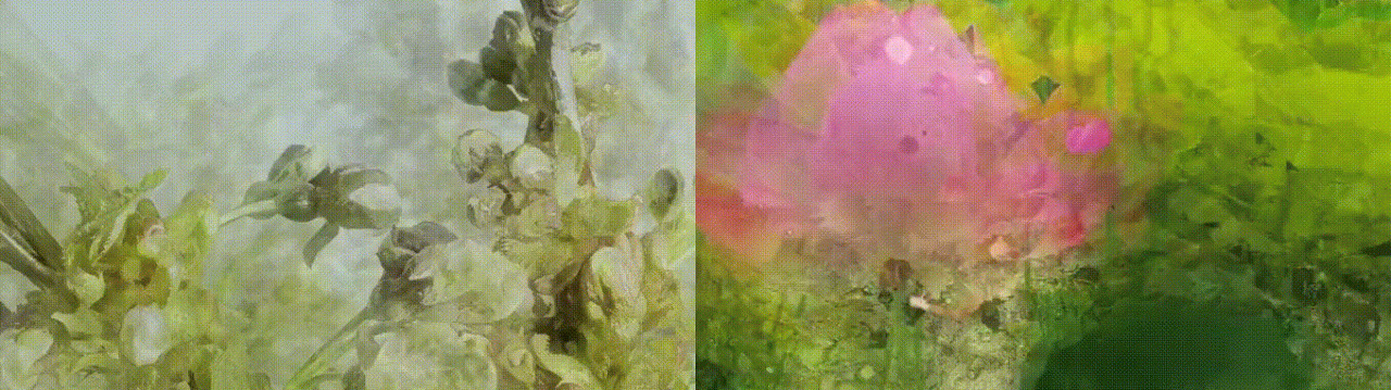 AE插件-Split Blur 朋分恍惚万花筒笼统视觉插件8169,插件,blur,朋分,恍惚,万花