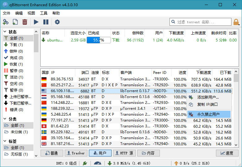 BT文件下载东西_qBittorrent v4.3加强版2410,